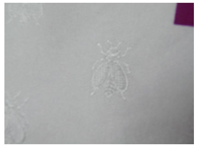 Foulard Hermès Brides de Gala Tattoo seta viola bianco Porpora - vista 5