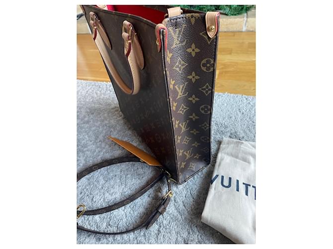 Louis Vuitton Monogramma LV Sac Plat PM Marrone - vista 2