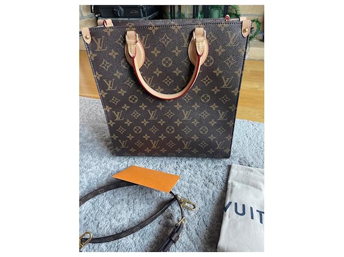 Louis Vuitton Monogramma LV Sac Plat PM Marrone - vista 3