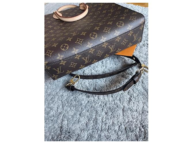 Louis Vuitton Monogramma LV Sac Plat PM Marrone - vista 4