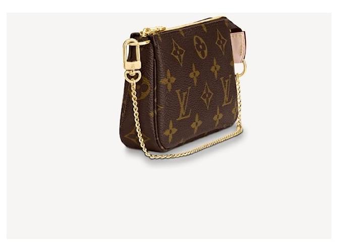 Louis Vuitton Monogramma LV Accessori mini pochette Marrone - vista 3