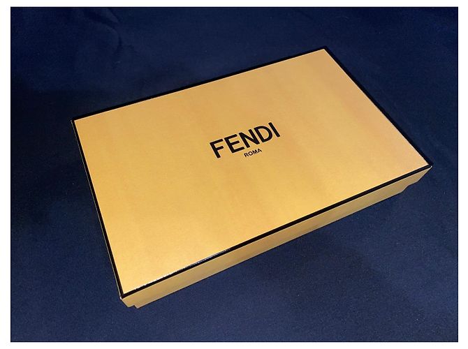 Custodia iPhone Fendi 11 (et 11 professionista) Marrone - vista 6