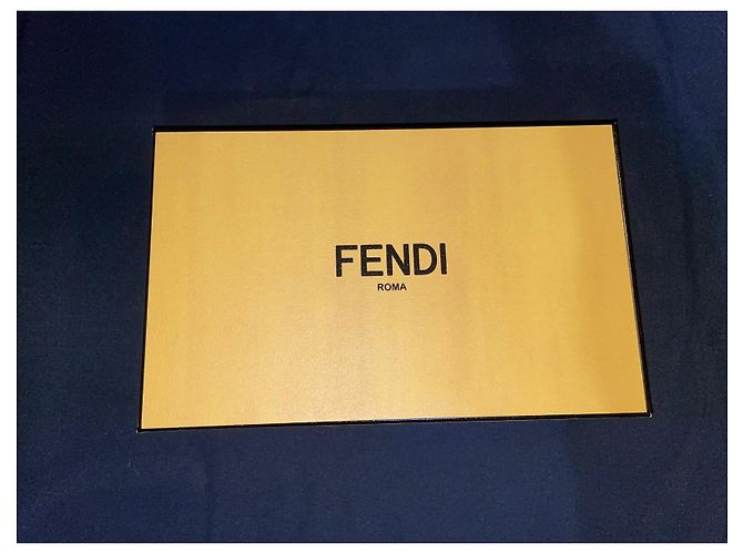 Custodia iPhone Fendi 11 (et 11 professionista) Marrone - vista 7