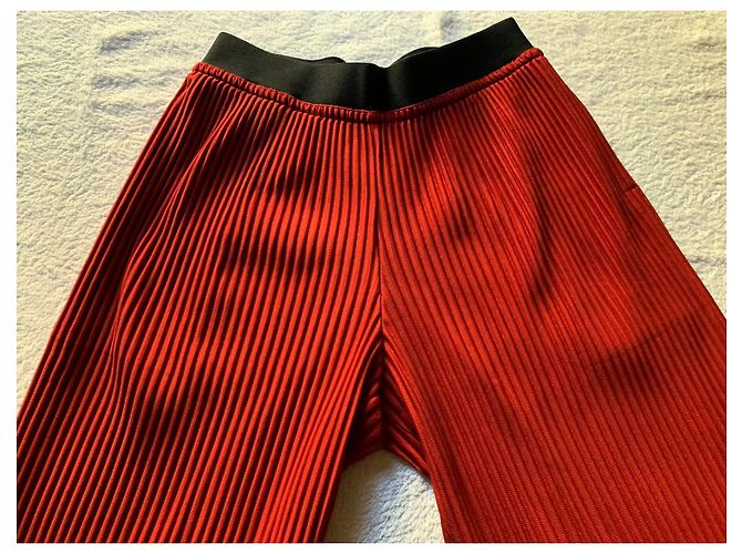 Issey Miyake Pantalone rosso con pieghe - vista 6