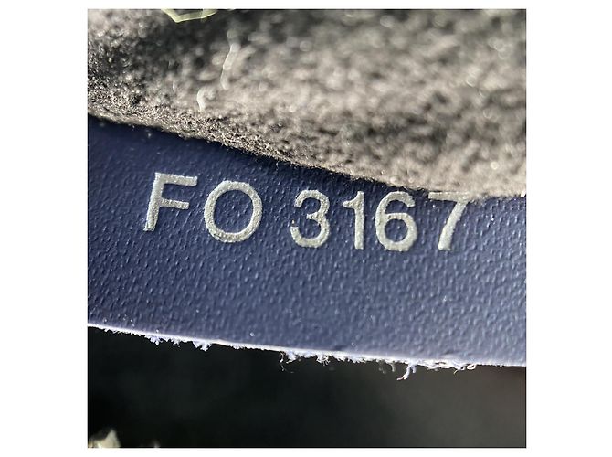 Louis Vuitton Épi Monogramme Danube PM Bleu - vue 13