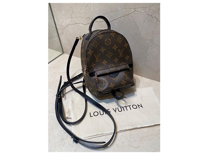 Zaino Louis Vuitton Palm Springs mini Marrone scuro - vista 2