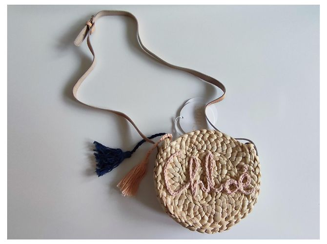 Borsa a mano Chloé in paglia color eggshell Bianco sporco - vista 12