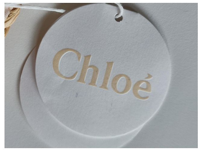 Borsa a mano Chloé in paglia color eggshell Bianco sporco - vista 4