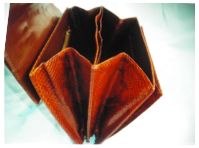 Autre Marque Handtasche aus Pythonleder - Ansicht 10