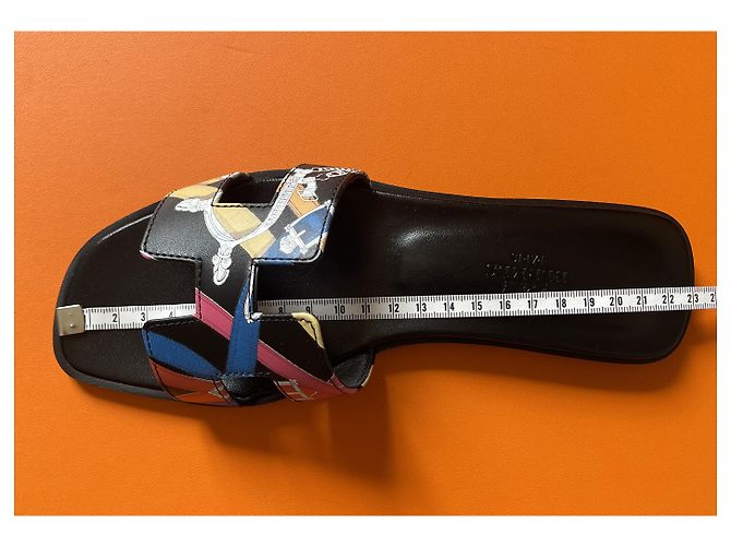 Sandali Hermès Oran in pelle Harnais de cheval Multicolore - vista 6