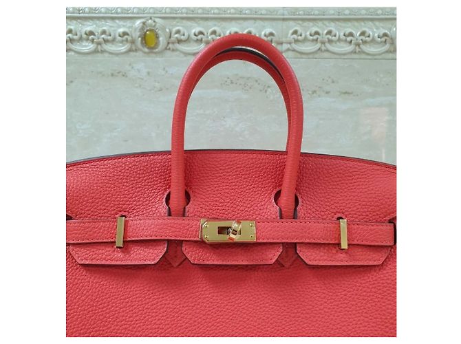 Acapulco Hermès HERMES BIRKIN 25 Tasche Rot - Ansicht 5
