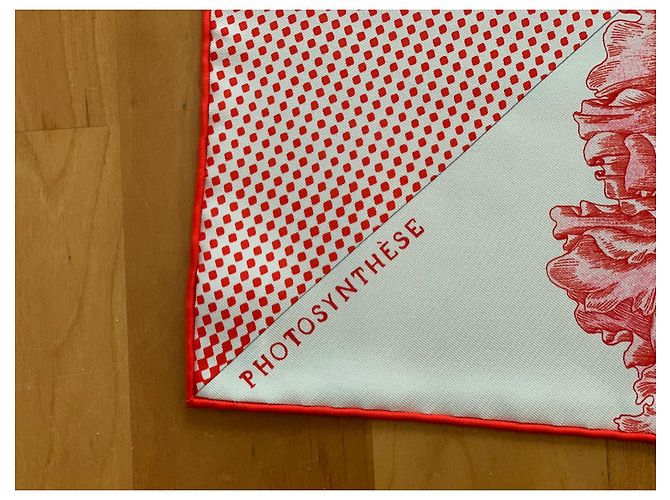 Hermès Photosynthesis Red - view 10