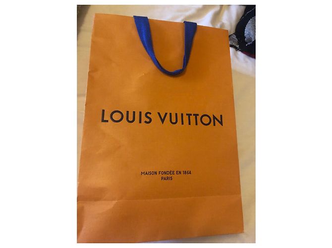 Borsa a mano Louis Vuitton Fellice Prochette in pelle blu - vista 2