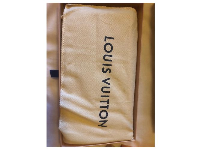Borsa a mano Louis Vuitton Fellice Prochette in pelle blu - vista 5
