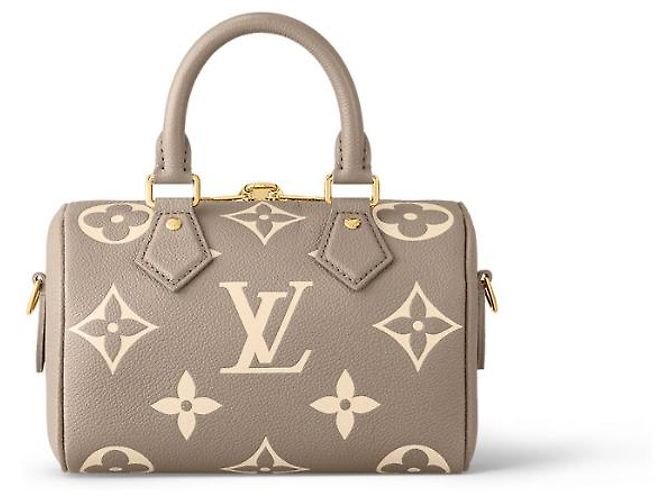 Louis Vuitton LV speedy 20 zweifarbig neu Grau - Ansicht 2