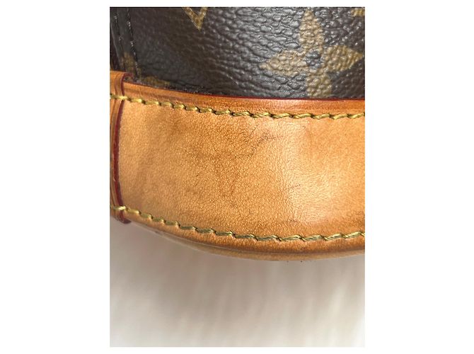 Borsa a mano Louis Vuitton Alma Marrone in cotone - vista 15