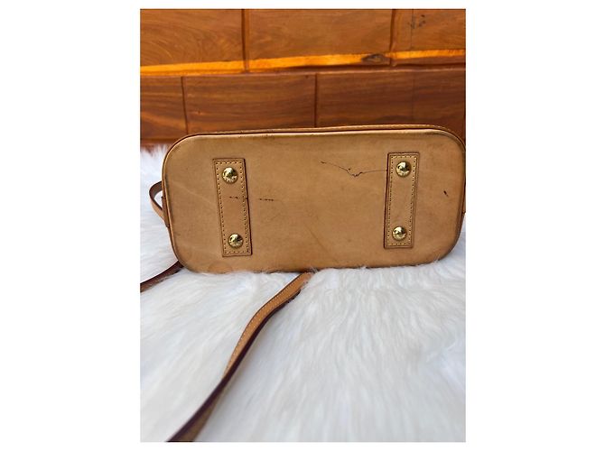 Borsa a mano Louis Vuitton Alma Marrone in cotone - vista 16
