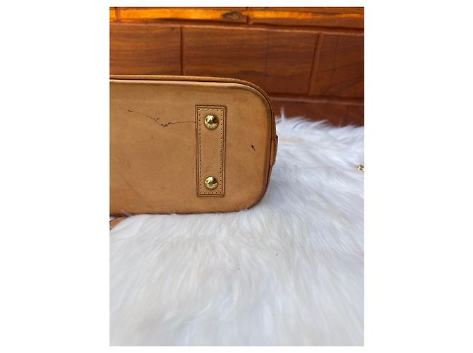 Borsa a mano Louis Vuitton Alma Marrone in cotone - vista 19