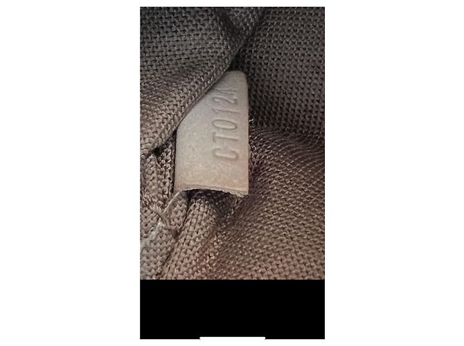 Borsa a mano Louis Vuitton Alma Marrone in cotone - vista 21