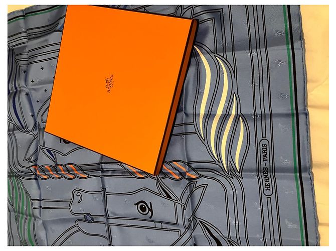 Hermès Hermes Square 70 seta in edizione limitata Blu - vista 2