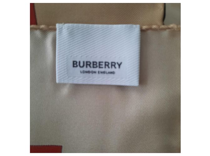 BURBERRY - Collezionista - Stola - 210X70 CENTIMETRO - 100% soie Multicolore - vista 5