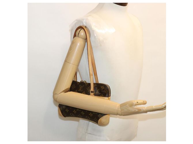 LOUIS VUITTON Mini Coussin PM Borsa a mano con monogramma M51143 LV Aut 35618 - vista 24