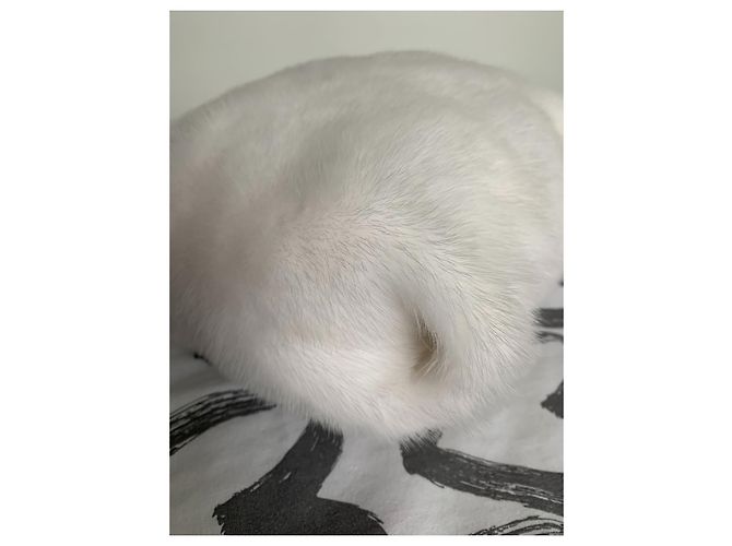Simonetta Ravizza Pelliccia Furrissima Bianco - vista 7