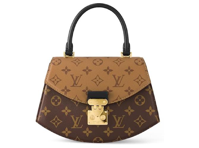 Louis Vuitton Borsa monogramma LV Tilsitt Marrone - vista 4