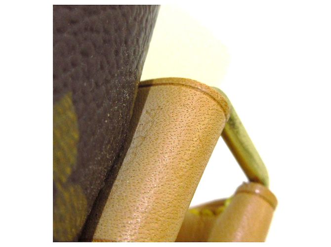 Louis Vuitton Alma Marrone - vista 6