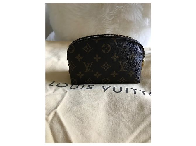 Louis Vuitton Small Case Light Brown Cloth - view 5