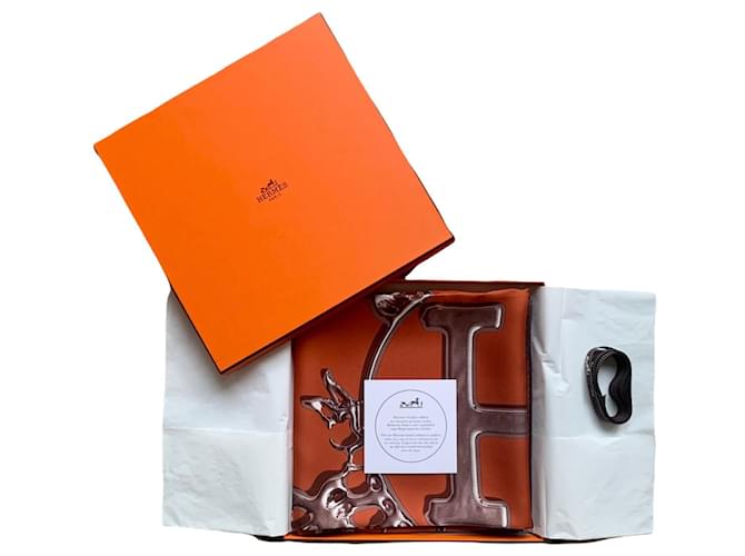 Hermès Vif Argent Square di Dimitri Rybaltchenko Arancione - vista 7