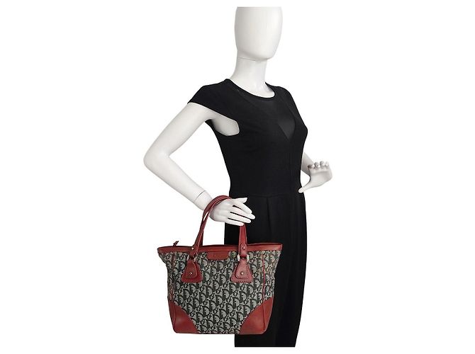 Borsa Christian Dior Trotteur in tela e pelle - vista 8