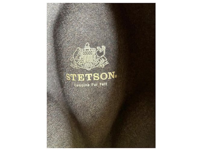 Cappello Stetson Inglewood Tortora in feltro di pelo Taupe - vista 8