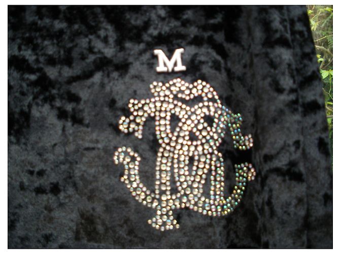 Conjunto de Jogging Roberto Cavalli en Terciopelo Negro - vista 4