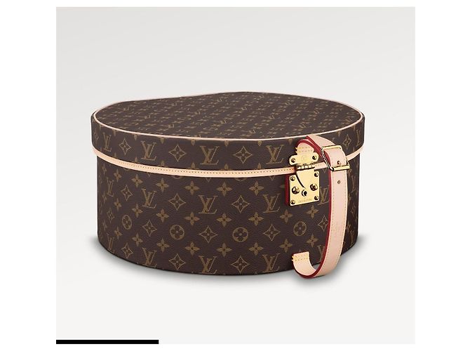 Louis Vuitton Cappelliera Monogram 40 Marrone - vista 4