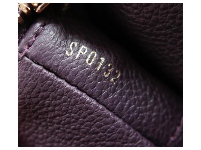 Borsa Louis Vuitton Audacieuse Porpora Viola scuro - vista 8