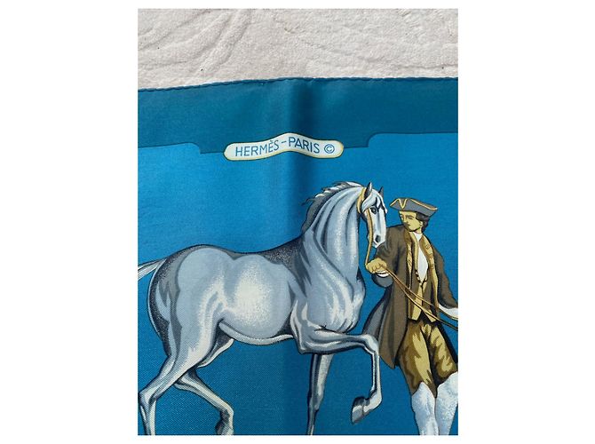 Foulard Hermès Parc Royal in seta blu 90 cm - vista 4