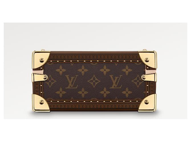 Louis Vuitton Joyero LV nuevo Castaño - vista 3