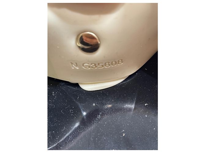 Chanel Sandali Camelia bicolore Nero - vista 8