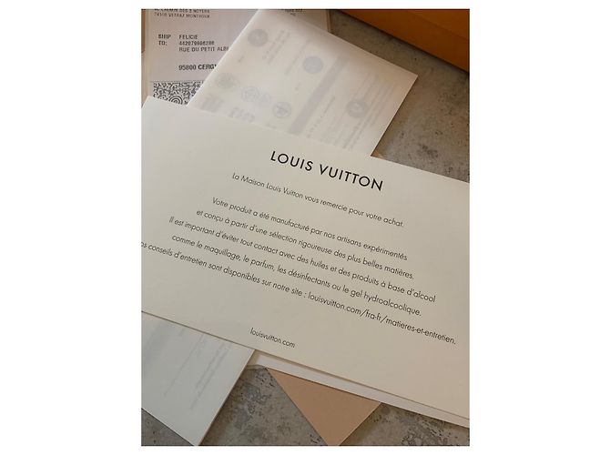 Louis Vuitton Metis 25 in pelle e tela rivestita monogram - vista 10