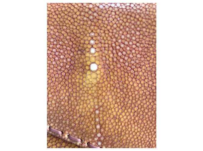 Pochette Bottega Veneta in pelle di coccodrillo beige - vista 12