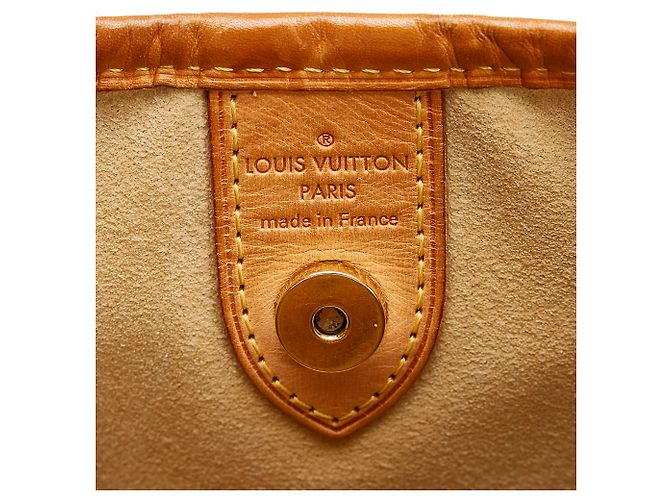 Louis Vuitton Brown Monogram Galliera PM Marrone - vista 6