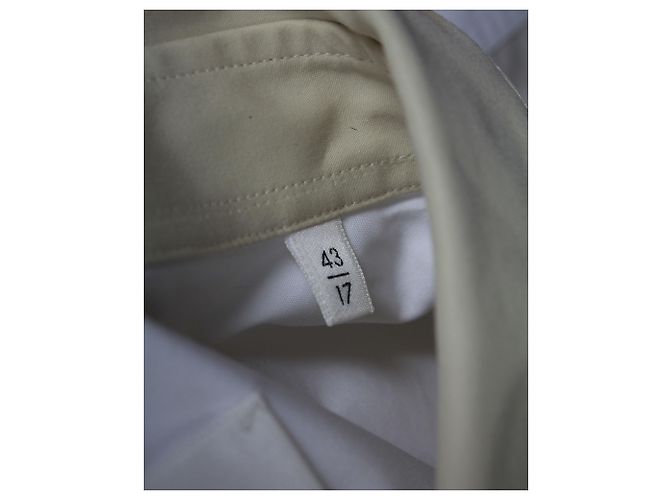 Camicia Buttondown Colorblock di Jil Sander in cotone multicolor Stampa python - vista 5