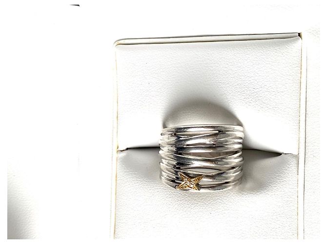 Pendientes Guy Laroche - vista 2