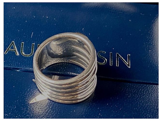 Pendientes Guy Laroche - vista 3