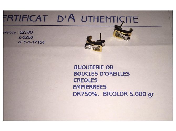 Pendientes Guy Laroche - vista 4