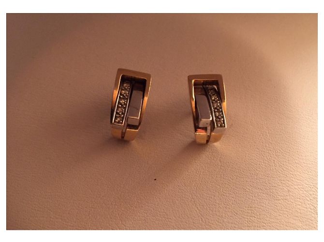 Pendientes Guy Laroche - vista 5