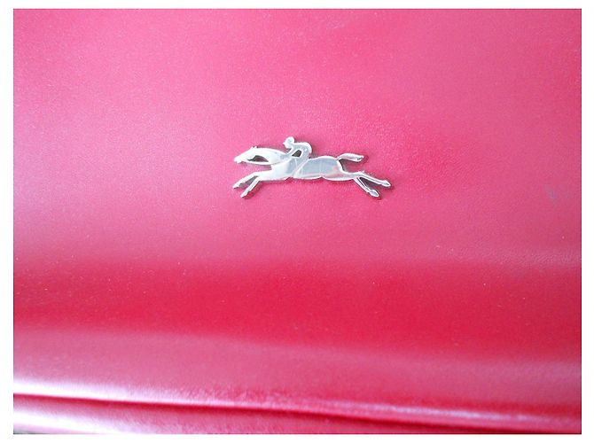 bag-in 100%Longchamp in pelle rossa Rosso - vista 2