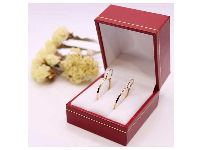 Autre Marque Orecchini in oro giallo 750%oh cerchi sottili Gold hardware - vista 5