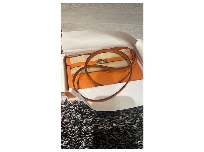 Hermès Birkin To Go Pouch Orange Leather - view 10
